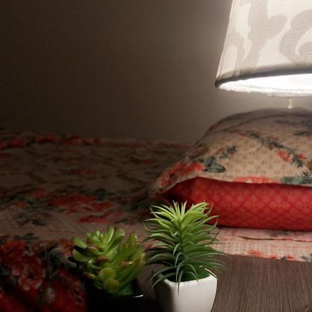 פייסלאבאד Fully Serviced Holiday Home Near Lyallpur Galleria מראה חיצוני תמונה